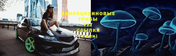 крисы Арсеньев