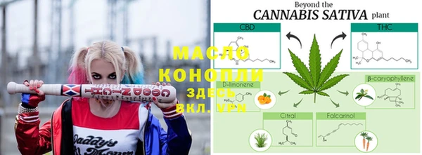 индика Нефтегорск
