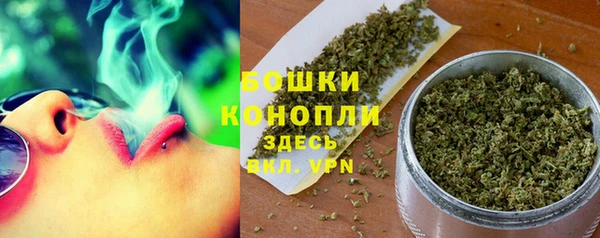 МДПВ Нея
