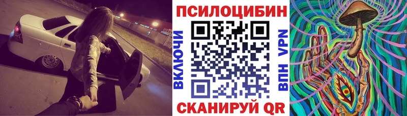 наркотики  Курган  Псилоцибиновые грибы прущие грибы 