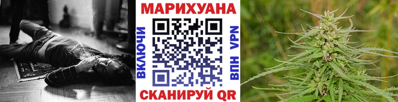 купить наркотики цена  Курган  ОМГ ОМГ ONION  Бошки Шишки марихуана 